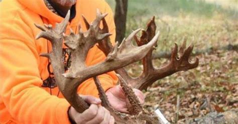 One For The Record Books Hunter Shoots Possibly Largest Buck Ever In