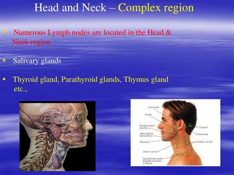 Differential Diagnosis Of Head And Neck Swelling
