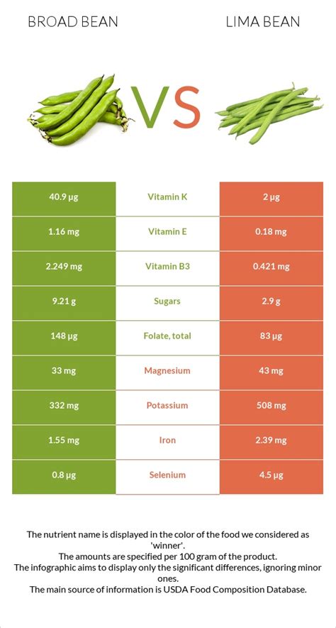 Broad Bean Vs Lima Bean — In Depth Nutrition Comparison