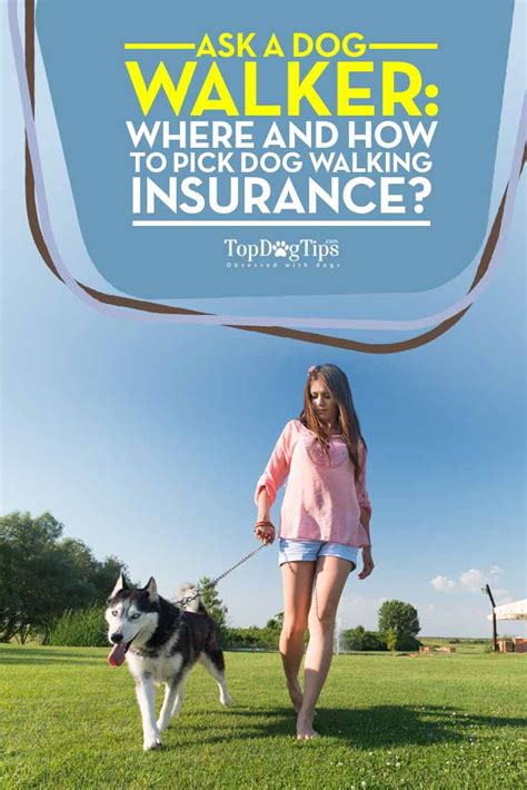 Dog Walking Insurance: Why You Need It and How to Find the ...