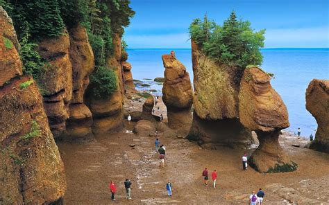 Baia Di Fundy Cool Places To Visit Canada Tourism Tourist Places