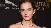 Emma Watson: veja como roubar o look sofisticado da atriz - Beleza - iG
