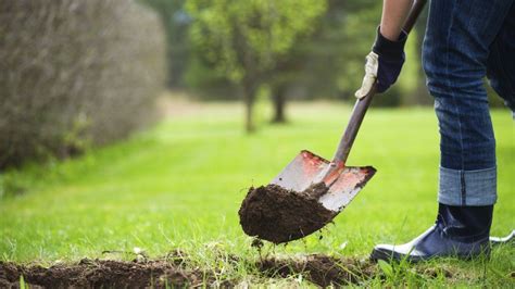 A Point Of View Why Gardening Is Really About Digging Your Own Grave