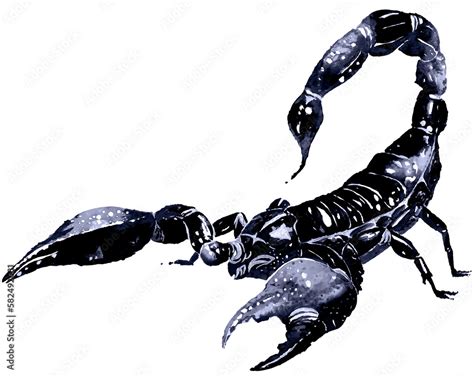 Watercolor Scorpion Illustrationexotic Scorpion Wild Insectastrology
