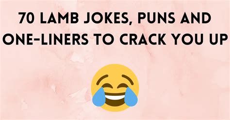 70 Lamb Jokes Puns And One Liners To Crack You Up 😀