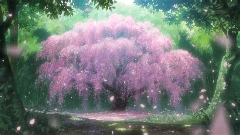 Anime Cherry Blossom Tree Cenário Anime Penteados De