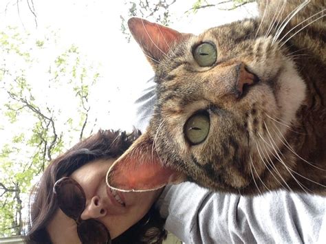 11 reasons your crazy cat obsession makes you happier and healthier huffpost life