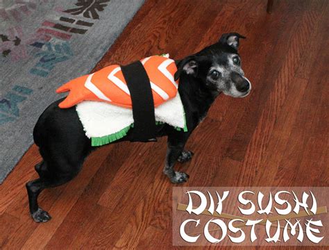 This year we decided on soy sauce and sushi. EAT+SLEEP+MAKE: DIY Sushi Costume for a Dog