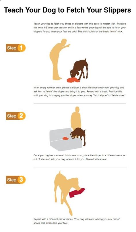 Majestic 45 Puppy Training Tips Puppies