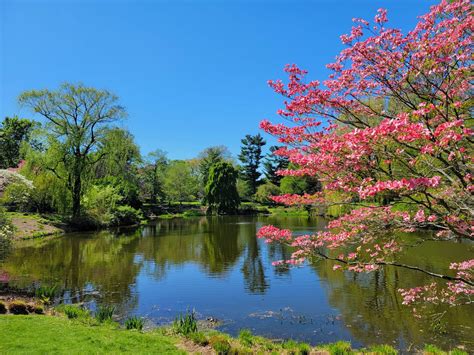 Mt Auburn Cemetery Not Sure Why It Took Me So Long To Explore This