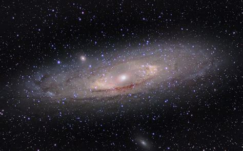 Our closest neighbouring galaxy the Andromeda Galaxy | Andromeda galaxy, Galaxy, Astronomy