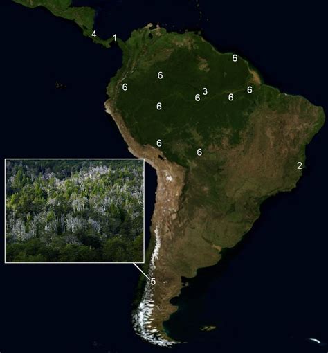 Satellite Map Of South And Central America With Documented