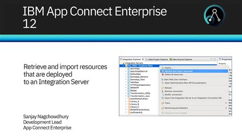 Retrieve And Import Resources That Are Deployed To An Integration