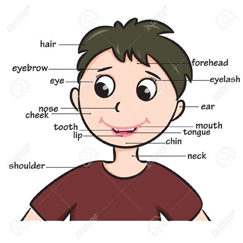 Face Parts Body Clipart For Doctors 20 Free Cliparts
