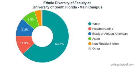 University Of South Florida Main Campus Diversity Racial