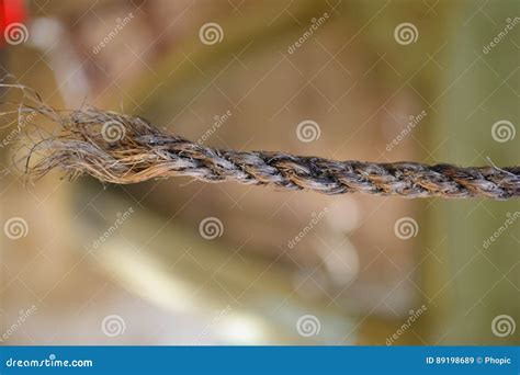 A Rope With Loose End Stock Image Image Of Cord Siezing 89198689