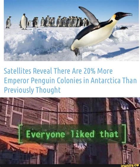 Satellites Reveal There Are 20 More Emperor Penguin Colonies In