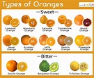 22 Useful Infographics About Citrus Fruits - Part 16