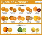 22 Useful Infographics About Citrus Fruits - Part 16