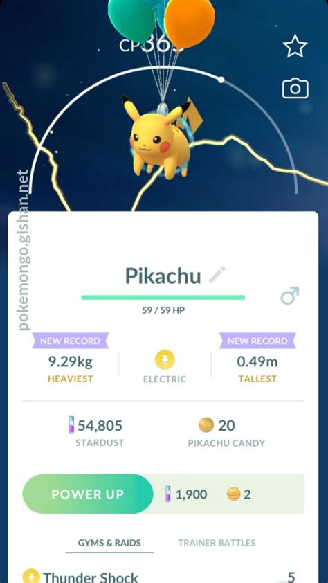 Flying Pikachu Pokemon Go