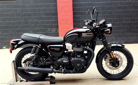 New 2019 Triumph Bonneville T100 Black Motorcycle In Denver 18t69