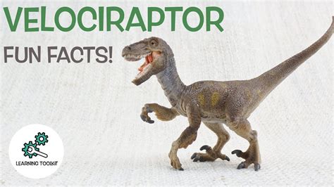 10 Facts About The Velociraptor Dinosaur