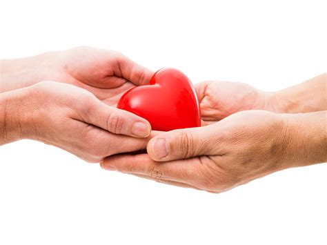 La Greffe Cardiaque Un Don De Vies Fondation Recherche Cardio