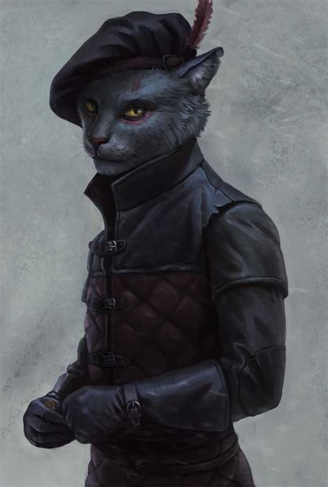 Tabaxi 5e Character Builder Wheelwes