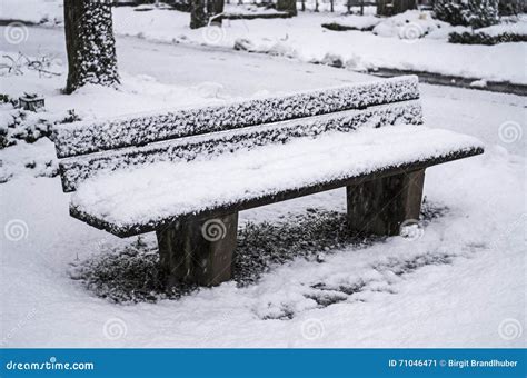 Park Bench In Winter Stock Image Image Of Cold Snow 71046471
