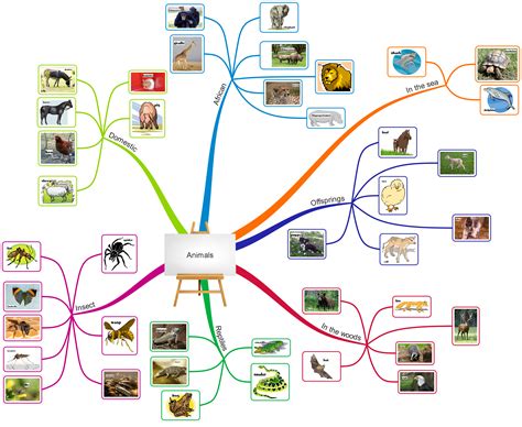 Animals Vocabulary Learn The Names Of 50 Animals Mind Map Kids