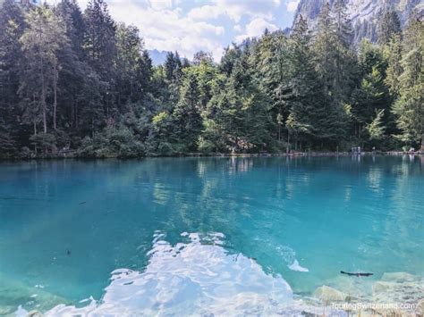 Breathtaking Blausee Lake A Day Trip In Kandergrund Touring Switzerland