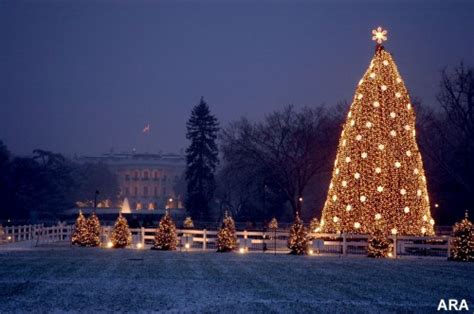 National Christmas Tree Lighting 2008