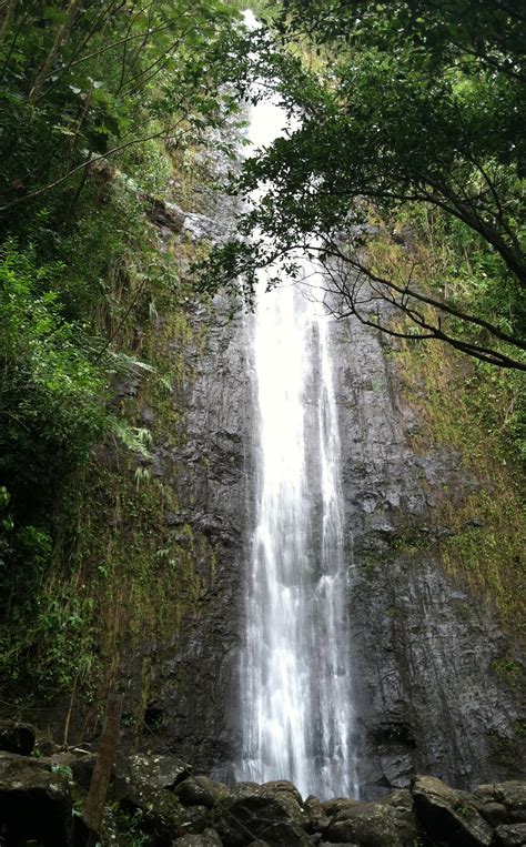 Manoa Falls Wikipedia