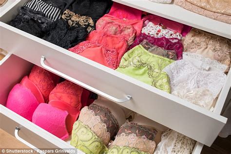 Femail Reveals How Often You Should Wash Your Bras Daily Mail Online