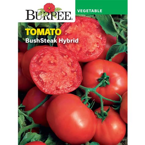 Burpee Bushsteak Hybrid Tomato Vegetable Seed 1 Pack