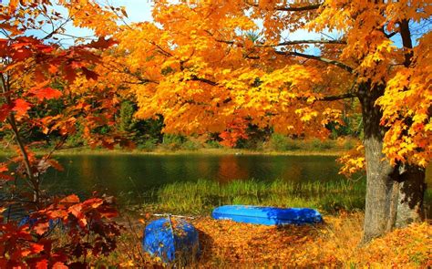 Lake Boat Trees Fall Grass Yellow Red Leaves Nature Forest