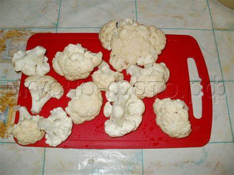 Диета капуста вареная рыба Вареная цветная капуста | Вкусно Фото. Кулинарные рецепты с фото. Вареная цветная капуста | Вкусно Фото. Кулинарные рецепты с фото. Диета капуста вареная рыба