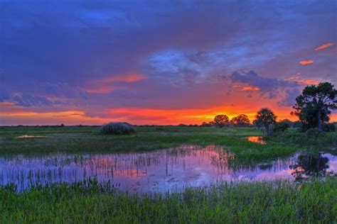Everglades National Park Bezienswaardigheden Amerika