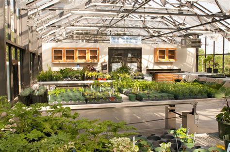 Undergraduate Certificate In Horticultural Therapy Wilmot Botanical