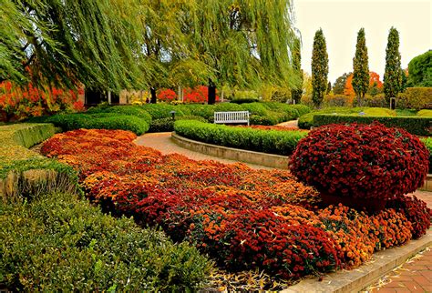 Photo Chicago City Usa Botanic Garden Nature Gardens