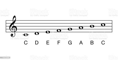 C Major Scale Full Notes Key Of C Stock Illustration Download Image