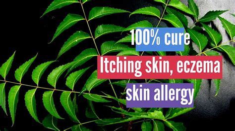 Itching Skin Eczema Skin Allergy Best Home Remedy Neem Oil