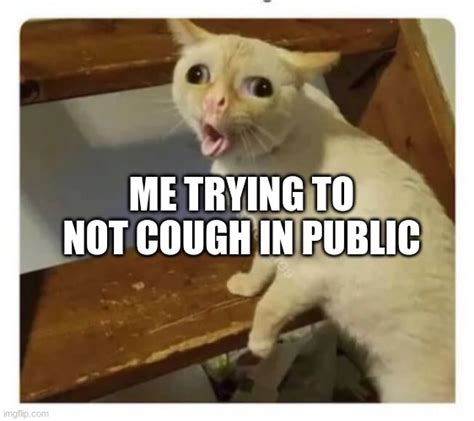 Coughing Cat Memes Imgflip