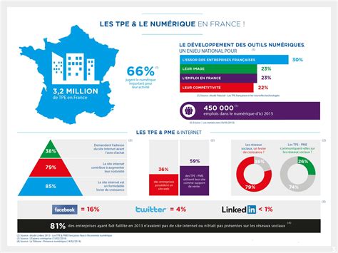 Infographie Les Tpe Et Le Numérique En France Alliancy Le Mag