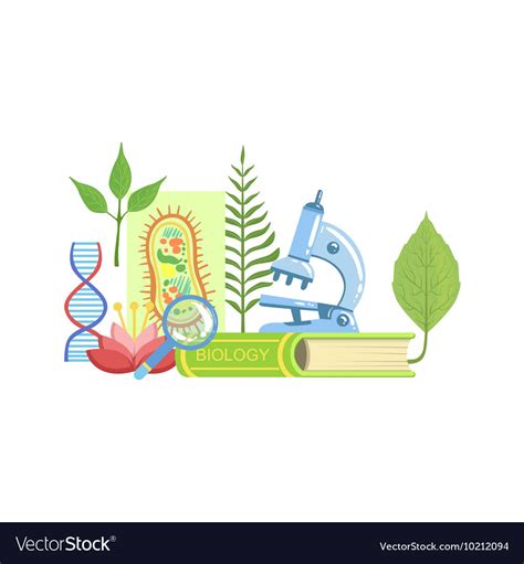 Biology Class Set Of Objects Royalty Free Vector Image