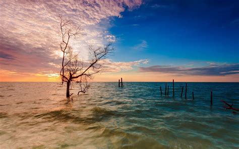 Choose an existing wallpaper or create your own and share it on steam workshop! Amazing Penang Malaysia | HD Beach Wallpapers for Mobile ...