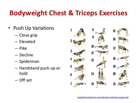 Bicep And Tricep Workout At Home No Equipment Eoua Blog