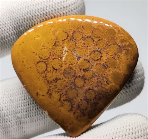 Natural Fossil Coral Jasper Cabochon Loose Gemstone Heart Etsy