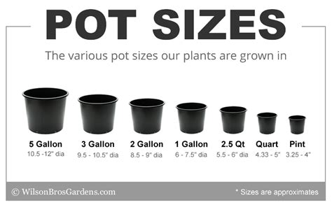 Flower Pot Sizes