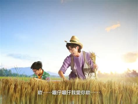 吳啟華（英語： lawrence ng kai wah ，1964年5月19日 － ），香港 男演員，籍貫廣東 番禺，第12期無綫電視藝員訓練班畢業，為前無綫電視合約男藝員，其兄吳啟明亦為前無綫電視合約男藝員 ，早年離開tvb後，曾參與多部電影演出，當中在周星馳電影《九品芝麻官. 何啟華 DeeGor Ho - 大佬呀，郭嘉駿 Denis Kwok... | Facebook